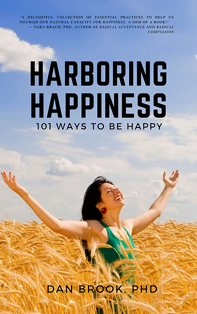 Dan Brook Book Harboring Happiness.png